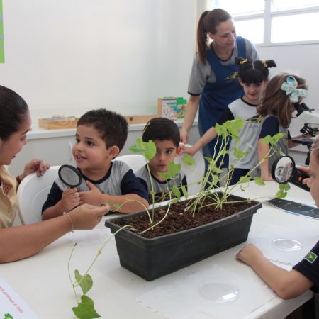 Educação Infantil – Laboratório de Ciências e Matemática